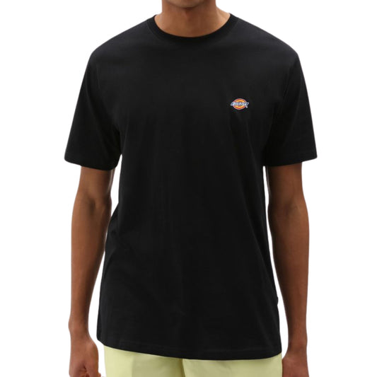 Maglietta Dickies Mapleton SS Tee