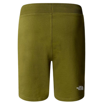 TNF Standard Short Light GREEN