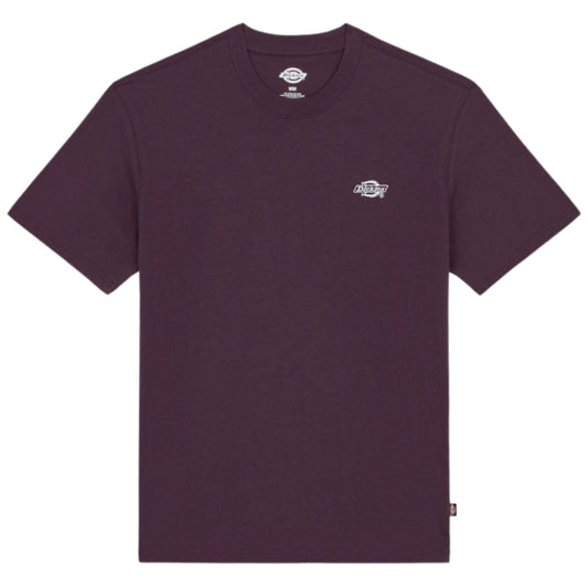 Maglietta Dickies Summerdale SS Tee