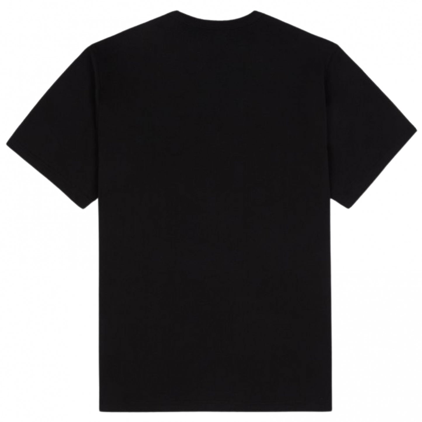 Maglietta Dickies Summerdale SS Tee