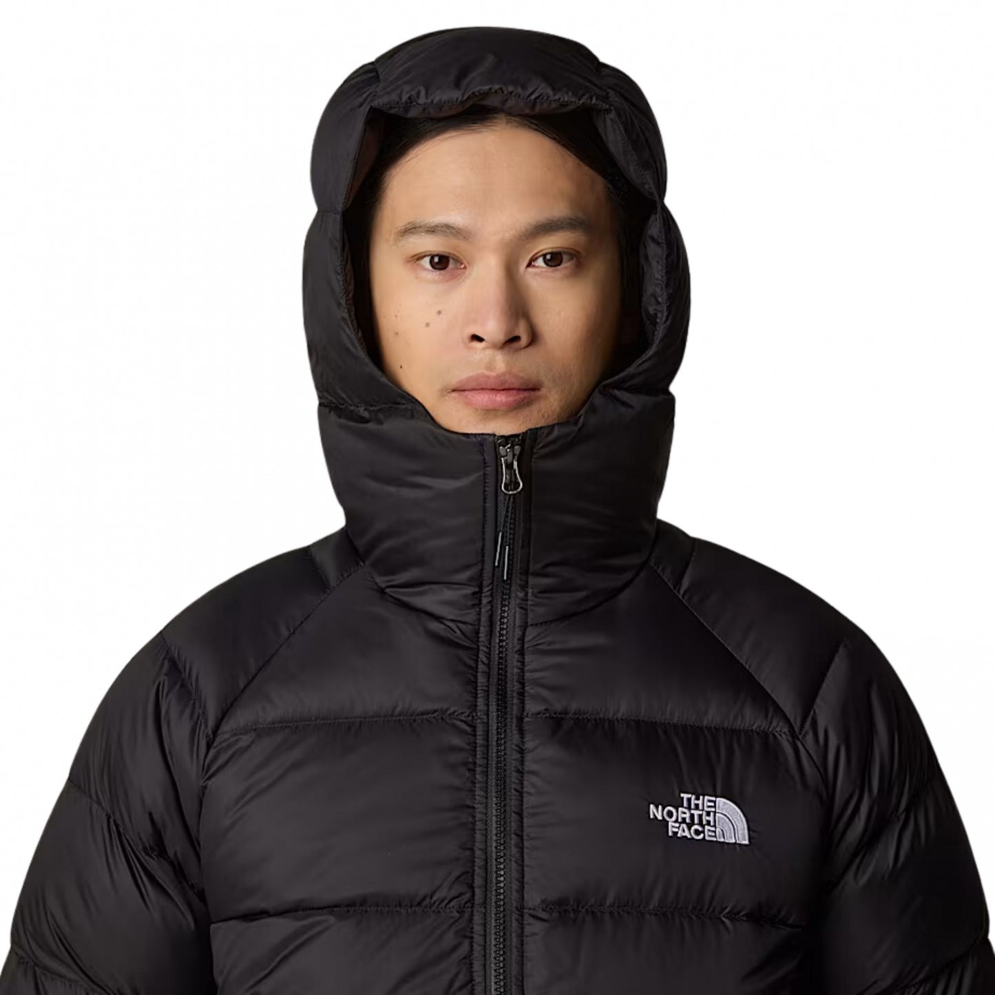 Giubb TNF Hydrenalite Down Hooded Jacket