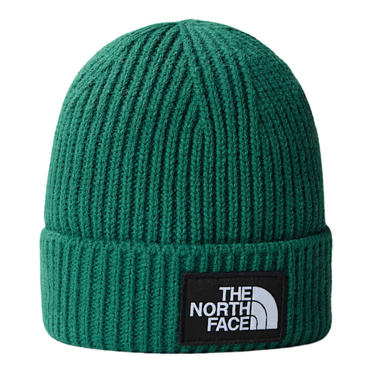 Cappello TNF Logo Box Cuff Beanie VERDE