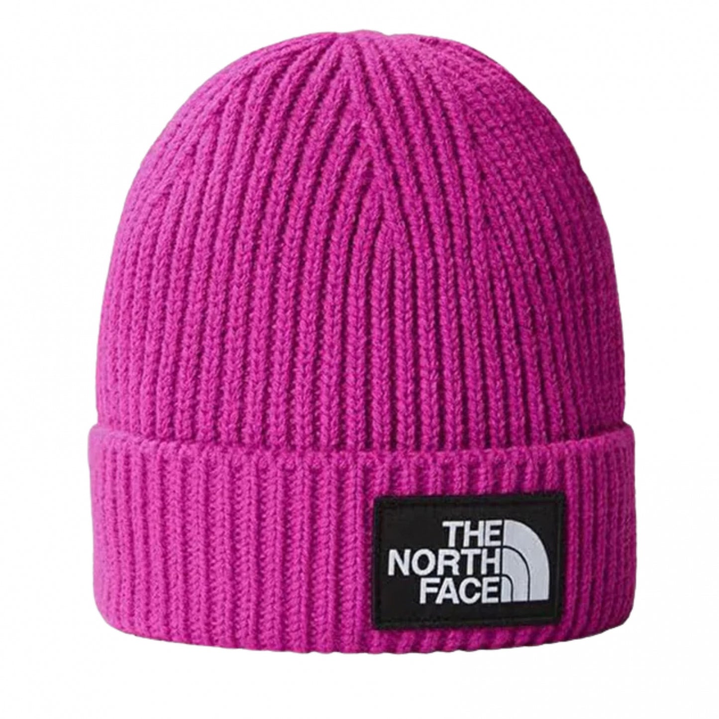 Cappello TNF Logo Box Cuff Beanie