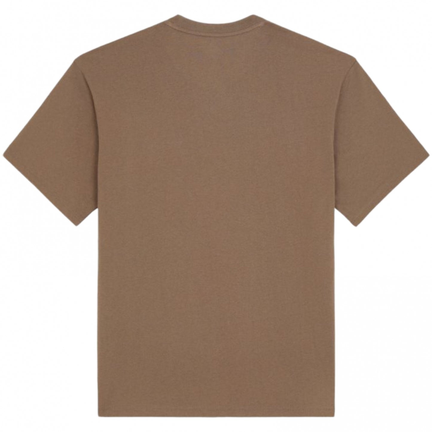 Maglietta Dickies Clancy Heavyweight Tee