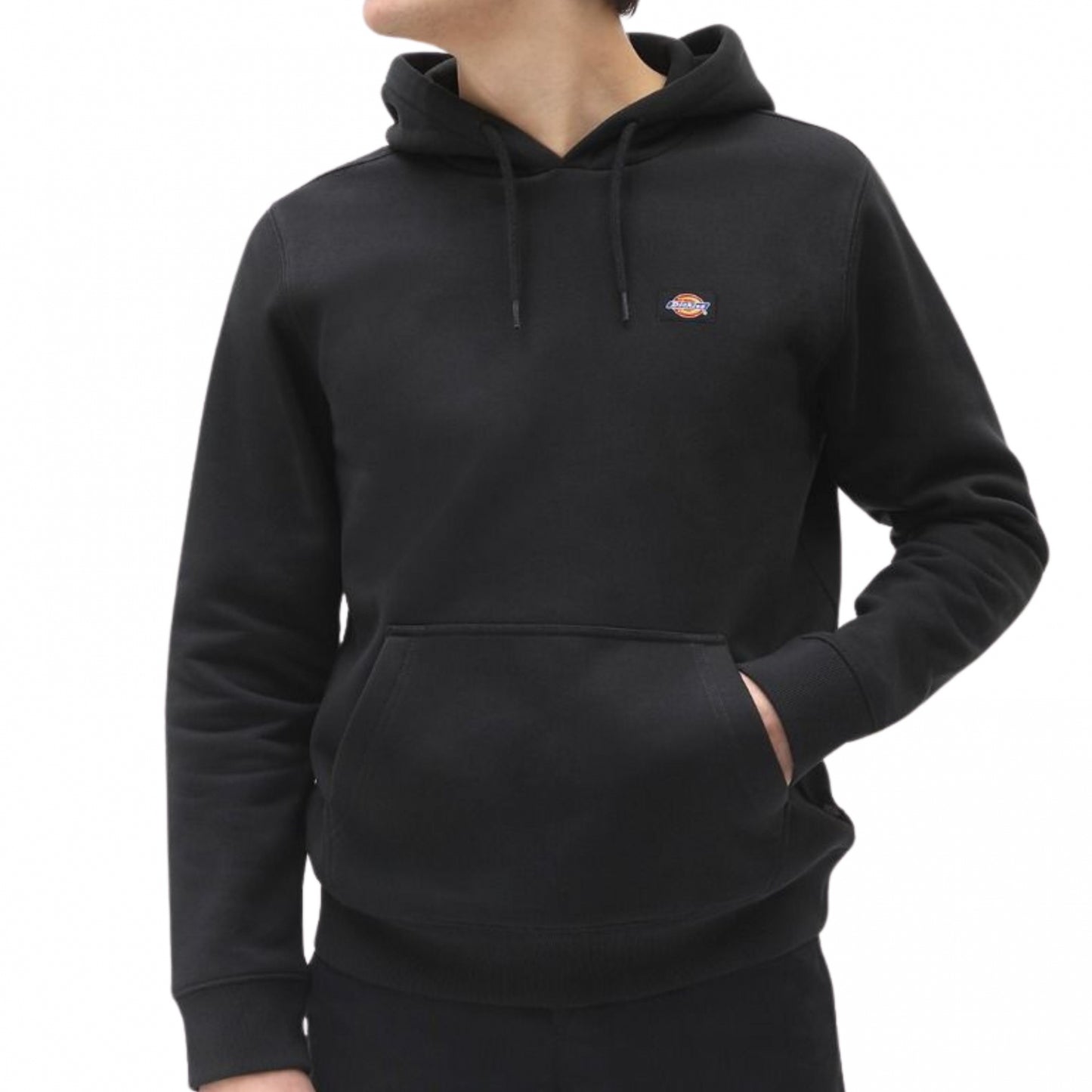 Felpa Dickies Oakport Hoodie